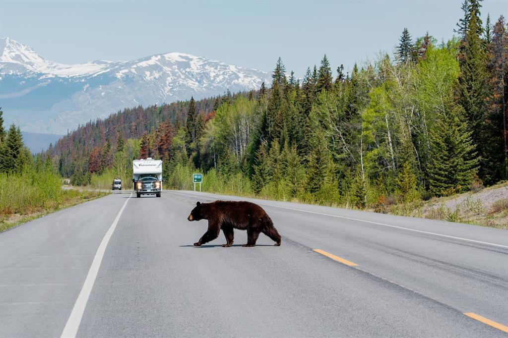 Kanada_Alaska_Presse_25